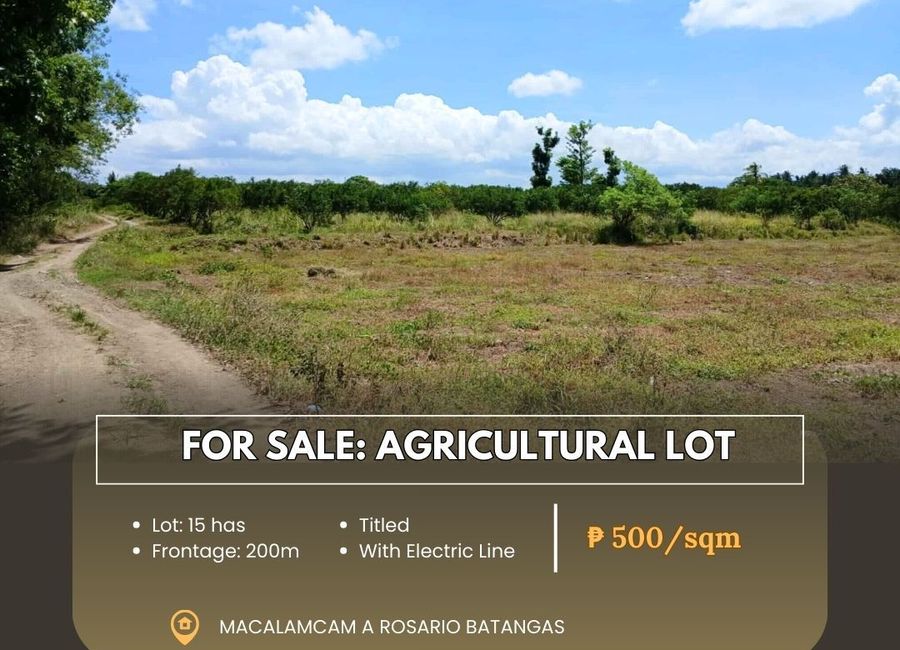Alupay-San Antonio Road, Macalamcam A, Rosario, Batangas
