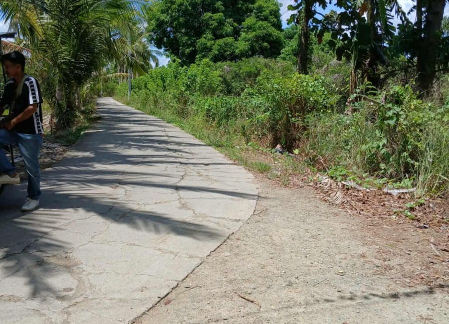 Alupay-San Antonio Road, Macalamcam A, Rosario, Batangas image 3