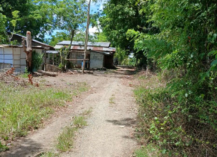 Alupay-San Antonio Road, Macalamcam A, Rosario, Batangas image 2