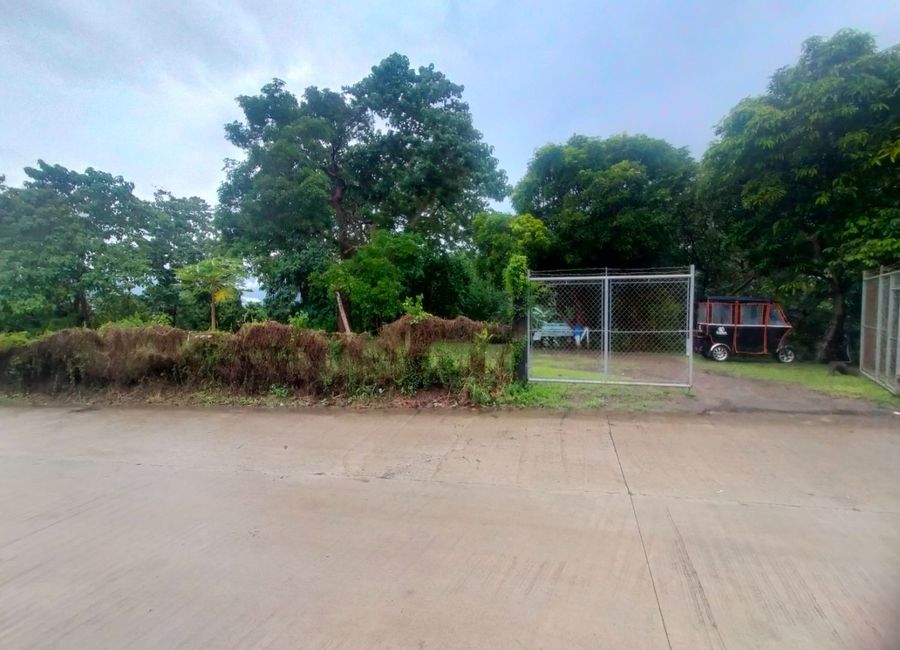 Kay-Anlog, Calamba, Laguna