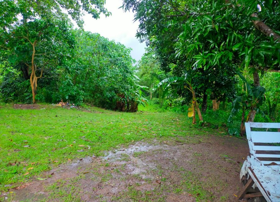 Kay-Anlog, Calamba, Laguna image 3