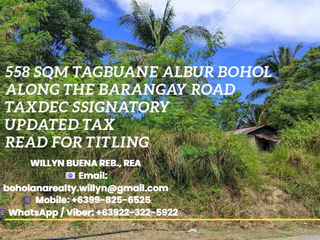 Lot for Sale in Tagbuane, Albur, Bohol I BOHOLANA REALTY