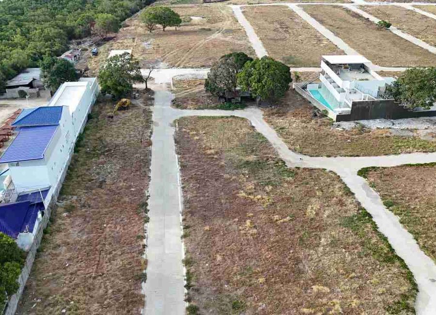 place photo 11