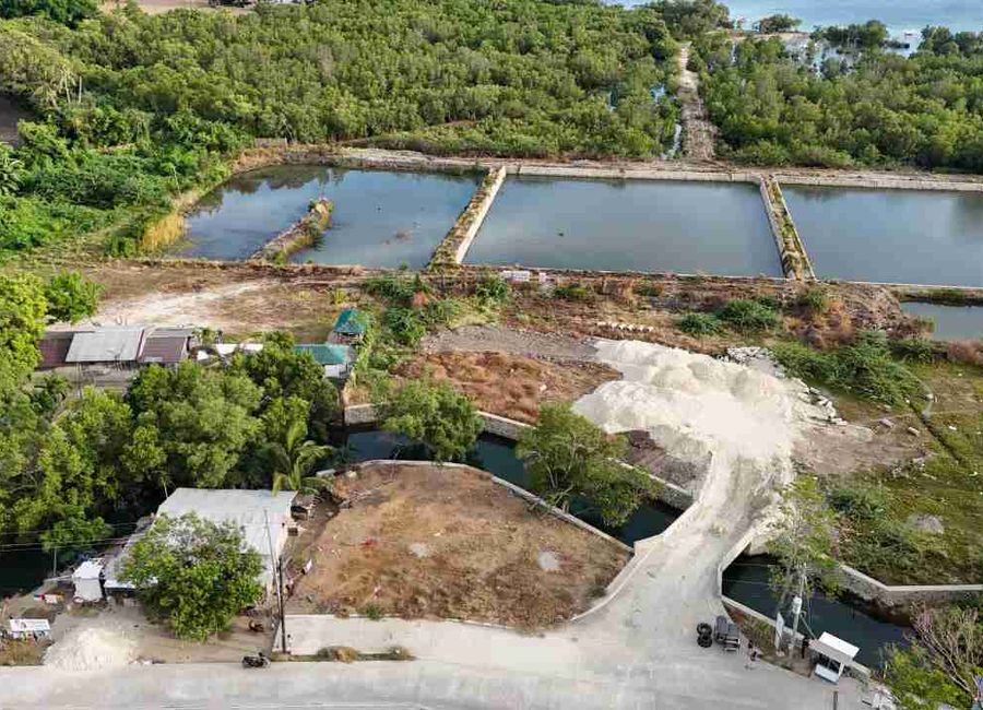 place photo 23