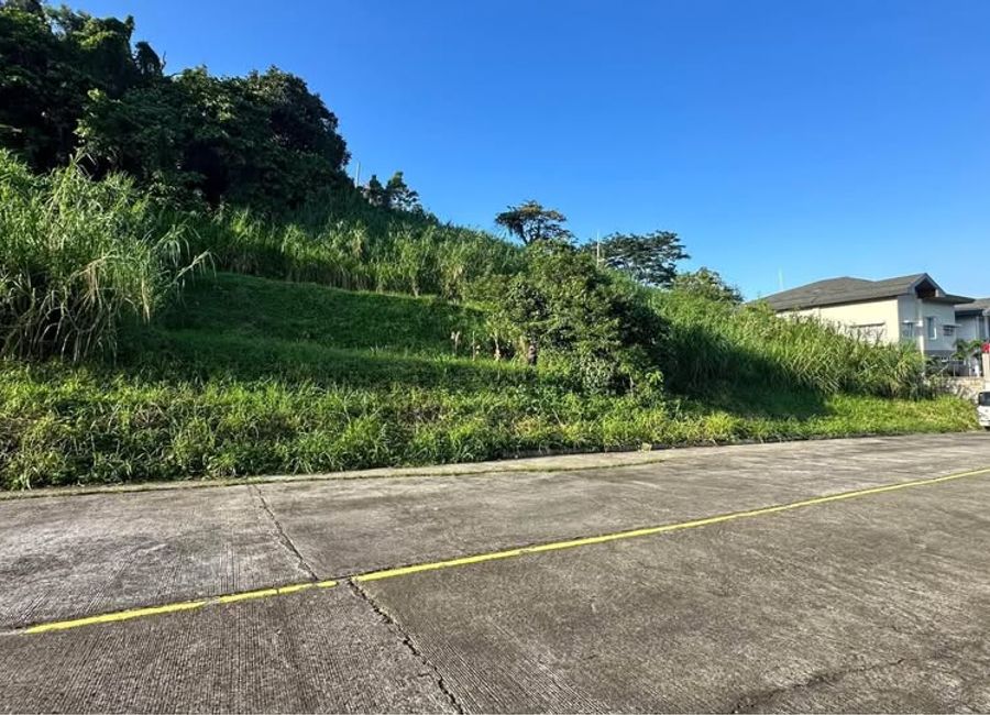 Apia, Antipolo, Rizal image 2