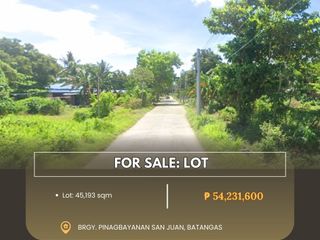 For Sale: Lot located at Brgy. Pinagbayanan San Juan, Batangas