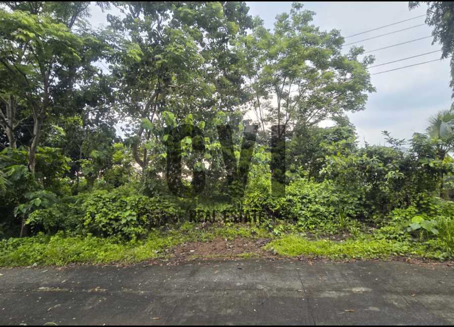 Thyme Street, Mandala South, Timberland Heights, San Mateo, Rizal image 2