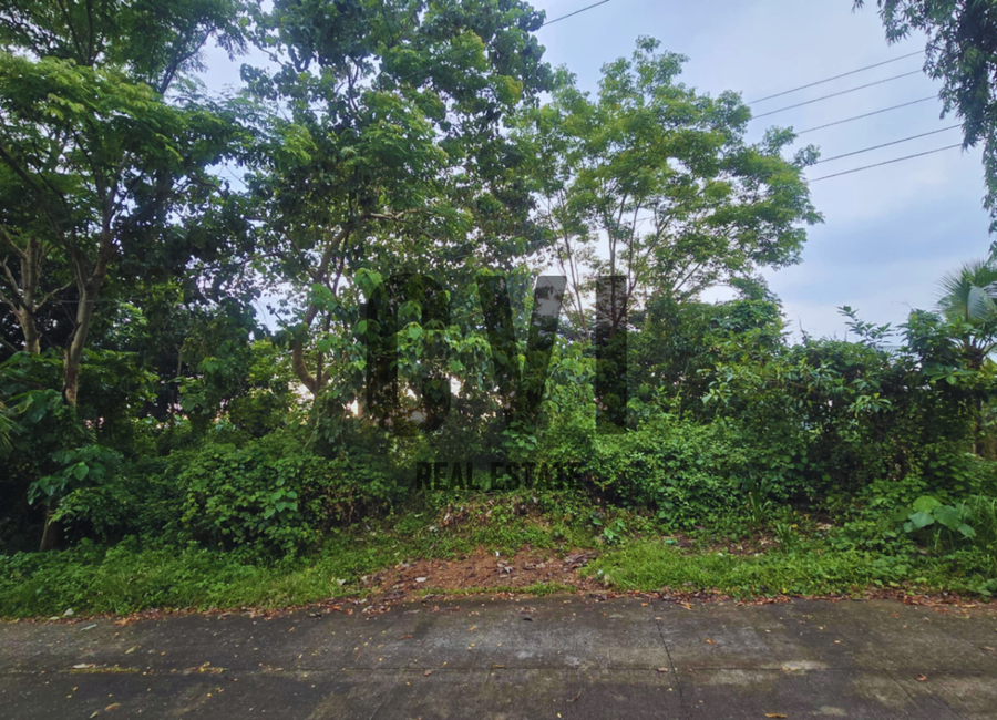 Thyme Street, Mandala South, Timberland Heights, San Mateo, Rizal