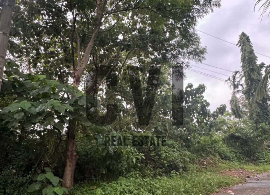 Thyme Street, Mandala South, Timberland Heights, San Mateo, Rizal image 3
