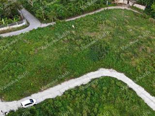 CORNER RESIDENTIAL FARM LOT IN MENDEZ CAVITE - TITLED LOT