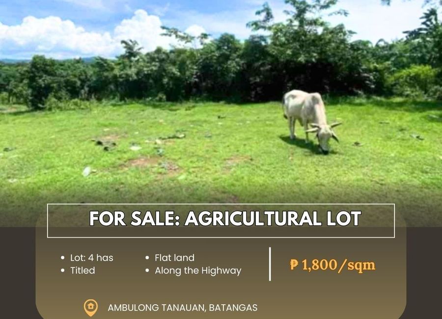 Tanauan-Talisay-Tagaytay Road, Ambulong, Bañadero, Tanauan, Batangas