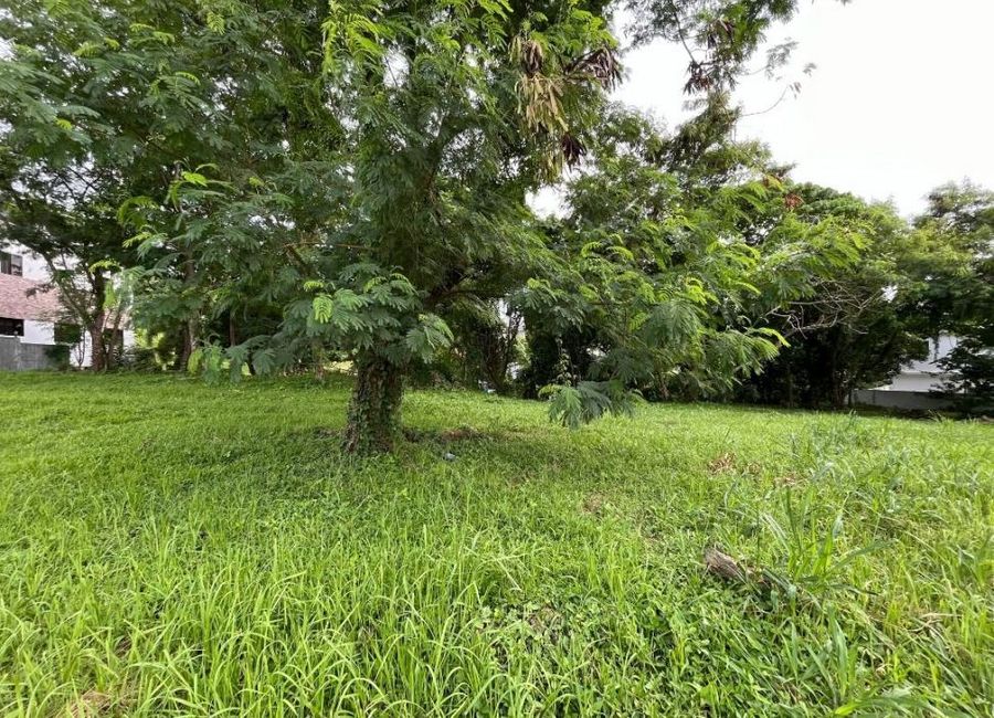 Ayala Greenfield Estates, Maunong, Calamba, Laguna image 2
