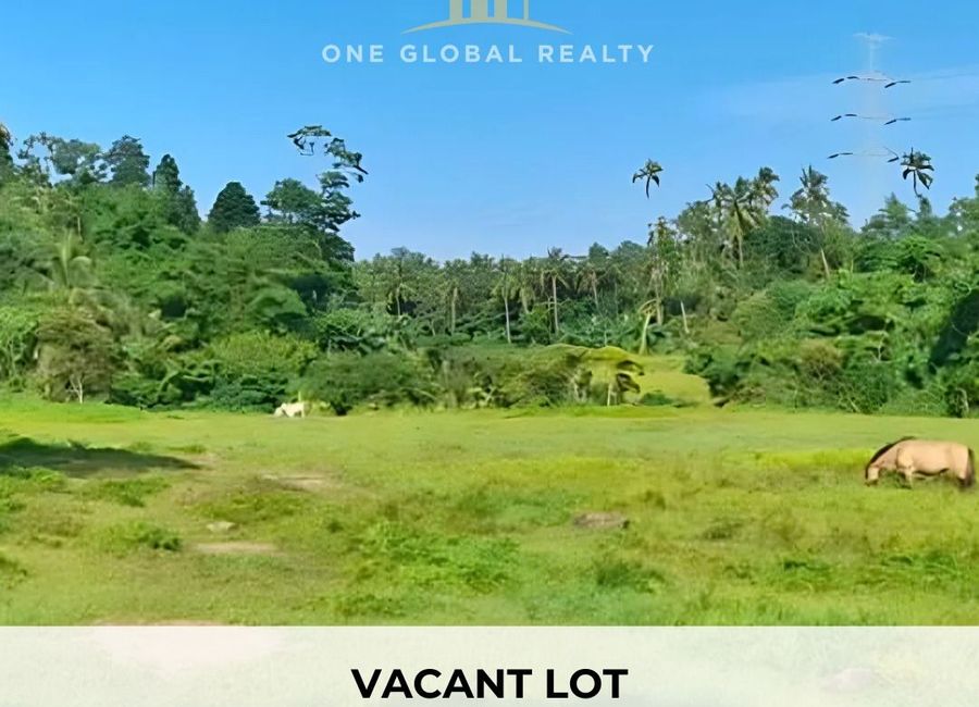 Tayabas - Mauban Road, Palale, Tayabas, Quezon