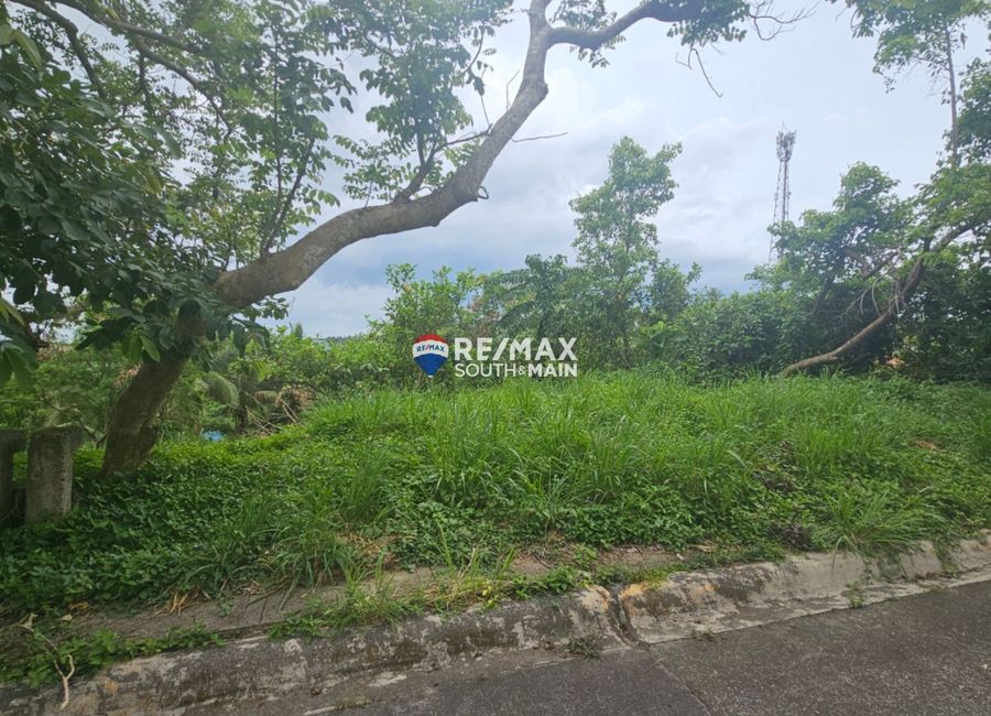 Mamimilit, Paliparan, Laurel, Batangas image 2