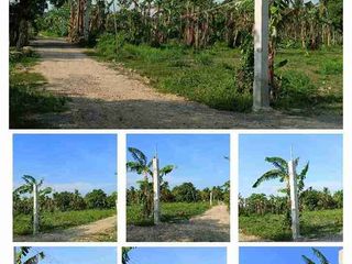 Candelaria Clean Titled Farm Lot - Corner Lot
