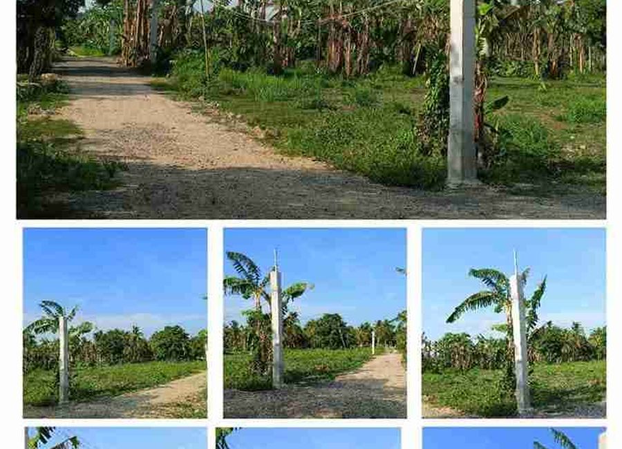 Del Rosario, Tiaong, 2nd District, Quezon