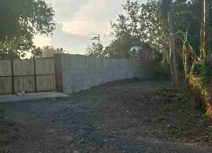 Del Rosario, Tiaong, 2nd District, Quezon image 3