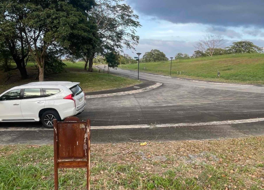 Spine Road, Ayala Greenfield Estates, Maunong, Calamba, Laguna