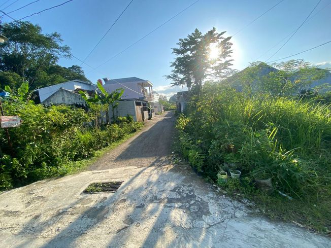 place photo 7