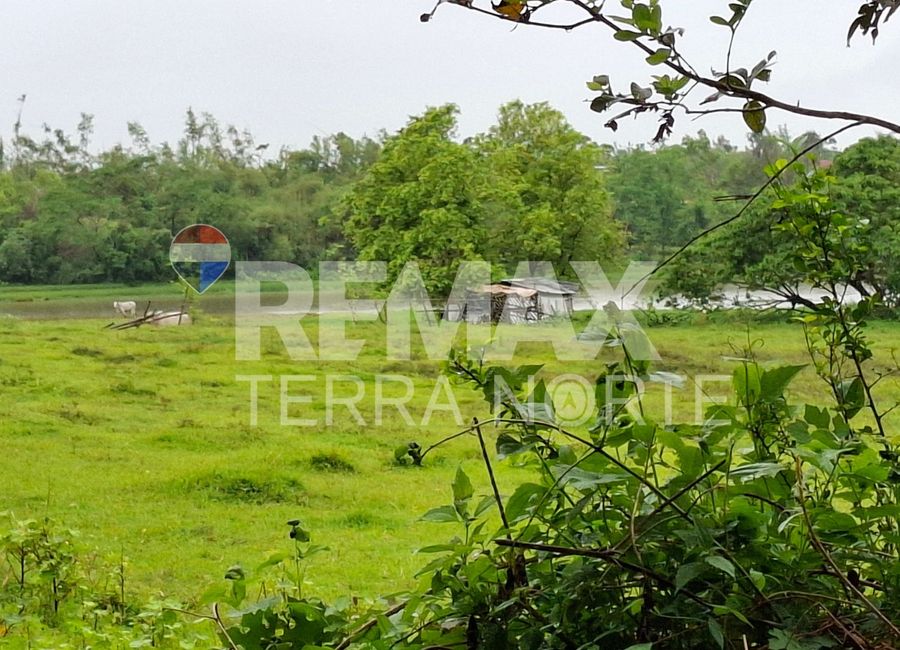 Agricultural Land for Sale in Bani, Pangasinan | Lamudi.com.ph