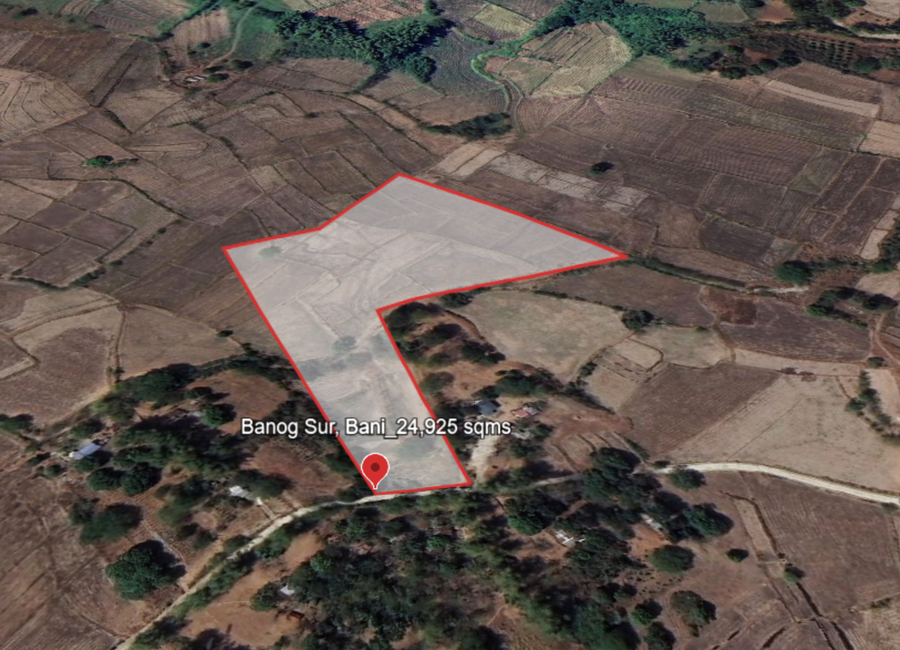 Agricultural Land for Sale in Bani, Pangasinan | Lamudi.com.ph