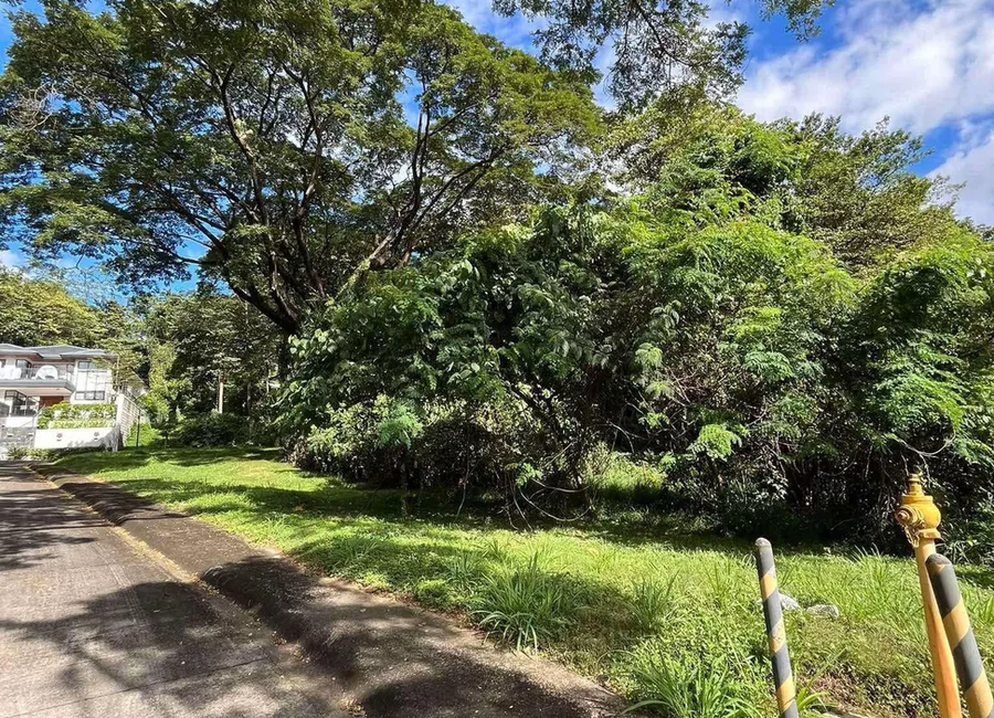 Mullberry Street, Forest Farms, Mahabang Parang, Angono, Rizal image 3