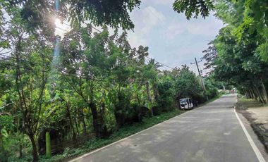 Commercial Lot Amadeo Cavite
