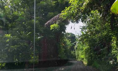 Amadeo Cavite Lot For Sale