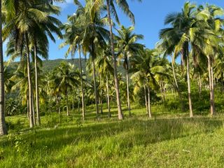 TITLED FARM LOT  CEBU SOUTH Argao