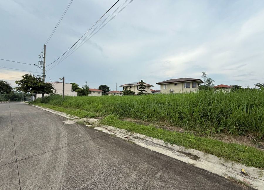 Amazon Street, Avida Woodhill Settings, Canlubang, Calamba, Laguna