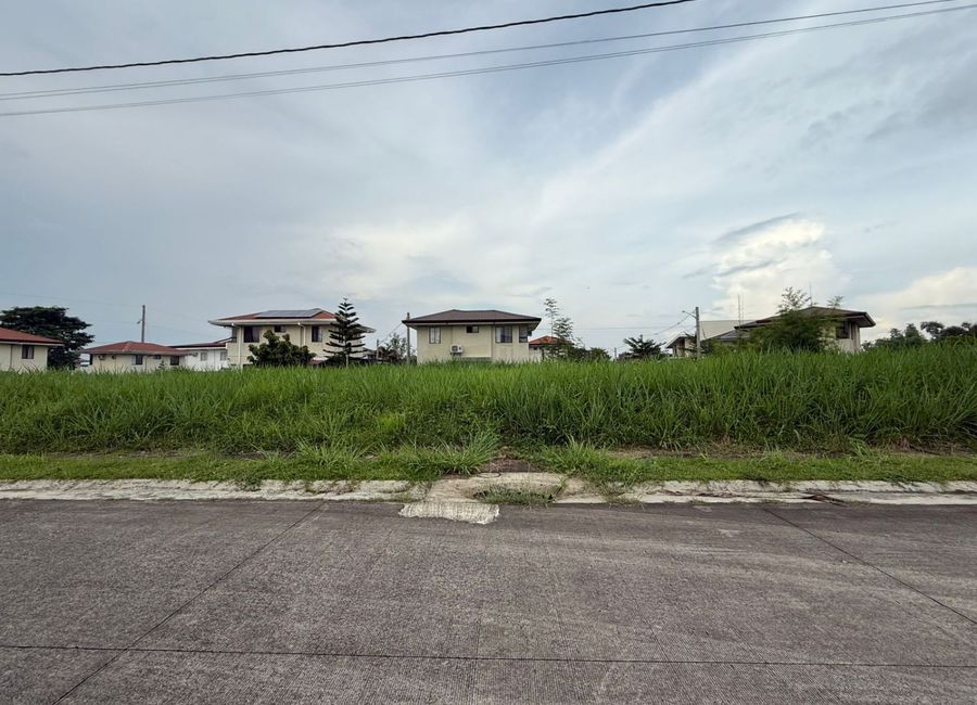 Amazon Street, Avida Woodhill Settings, Canlubang, Calamba, Laguna image 2