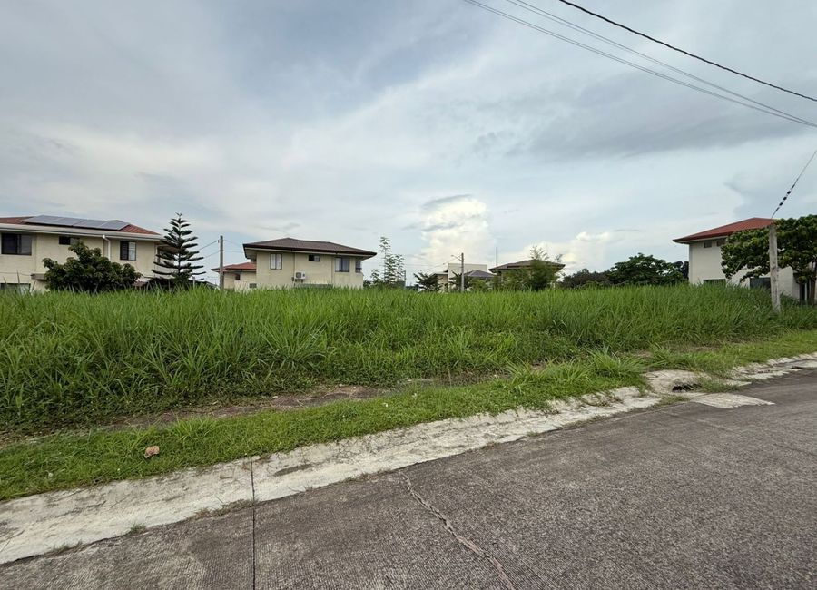 Amazon Street, Avida Woodhill Settings, Canlubang, Calamba, Laguna image 3