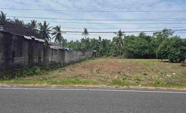 Tanah 13 are pinggir jalan raya negara pengambengan , Jembrana