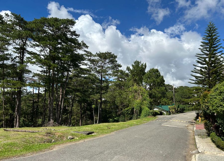 place photo 15