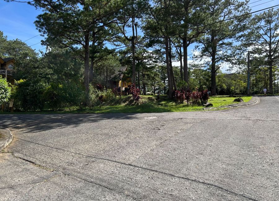 place photo 17