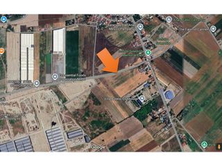 2000 upto 8500 sqm commercial space for lease
