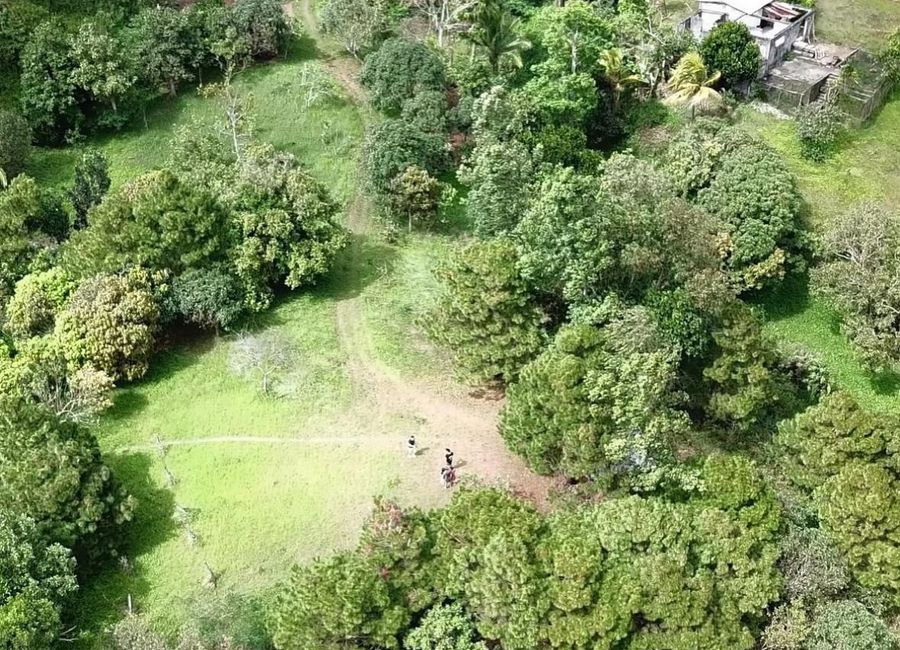 Halang na Gubat, Tanay, Rizal