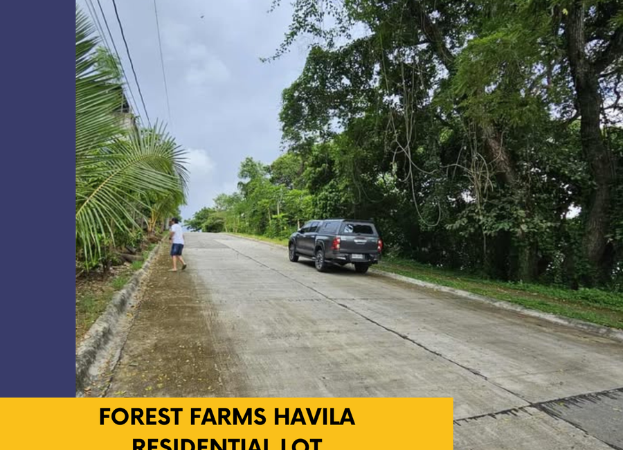 Residential Lot For Sale in Forest Farms Havila at Rizal | Lamudi.com.ph