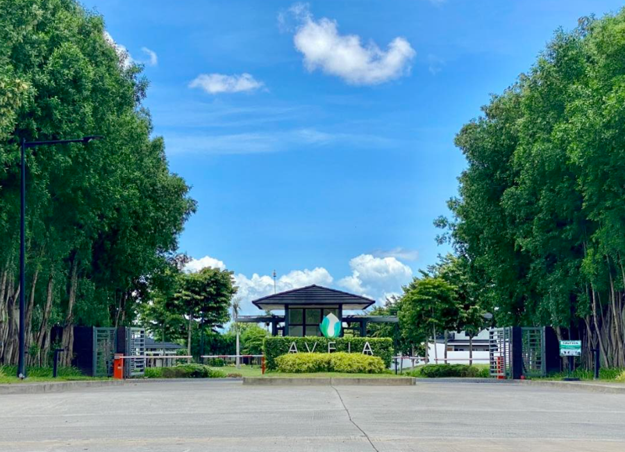 Trade Avenue, Loma, Biñan, Laguna