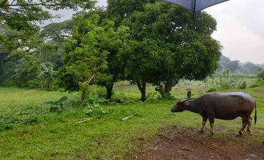 FOR SALE 2 Lots in Rodeo Hills Tagaytay City