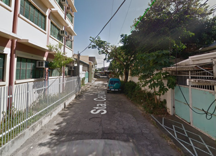 W. A. McVean Street, Pansol, Calamba, Laguna image 3