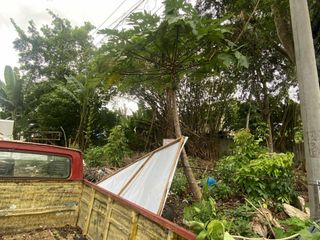 250SQM AND 156 SQM Lot for Sale in Tagbilaran City