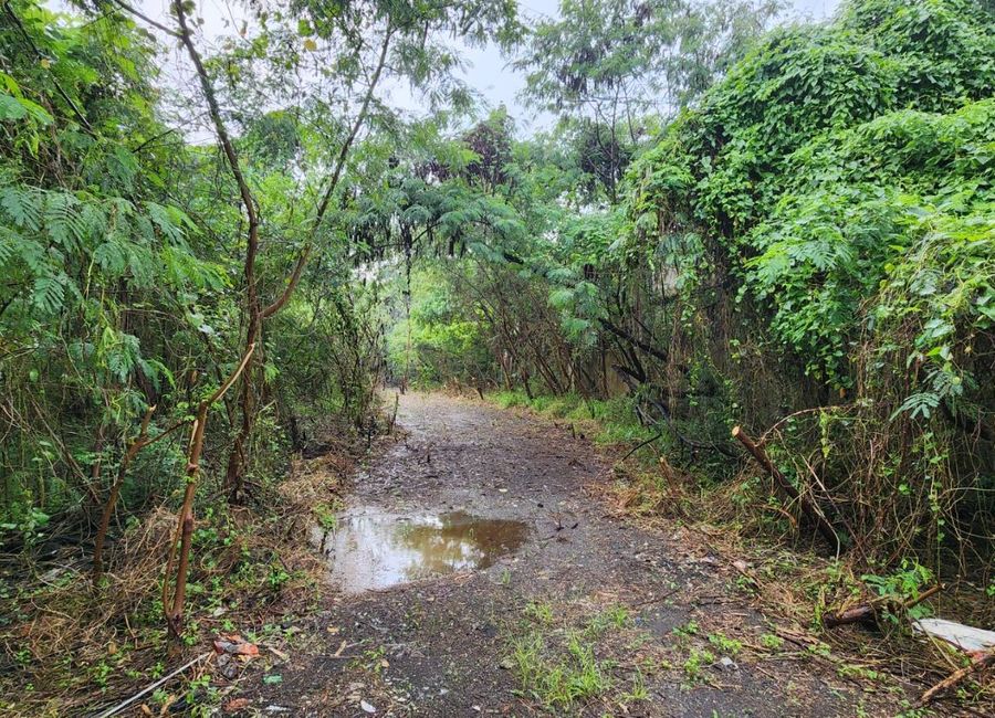 J. P. Rizal Street, Rizal Technopark 2000 PH1, San Juan, Taytay, Rizal