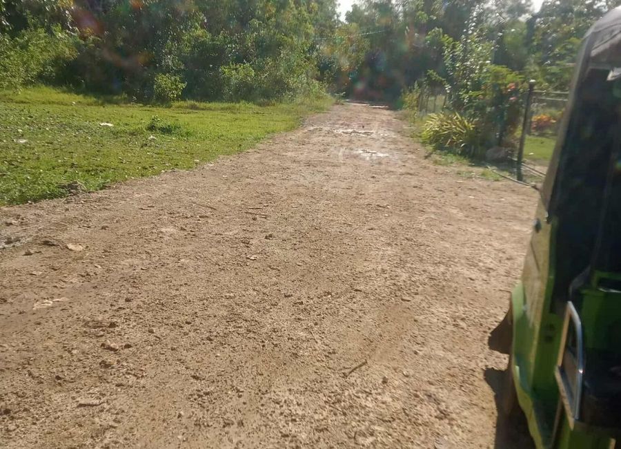 place photo 18