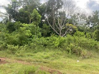 263sqm Lot For Sale in Tinago,  Dauis  | BOHOLANA REALTY