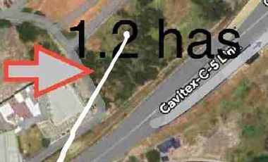 Paranaque Commercial Land near NAIA For Sale
