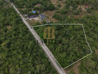 1 Hectare Titled Lot with 132m Frontage for Sale in Dao, Dauis