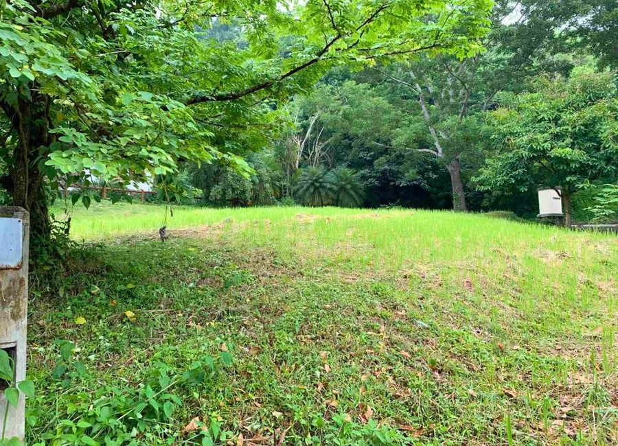 Norfolk, Canyonwoods, Tamayo, Calaca, Batangas