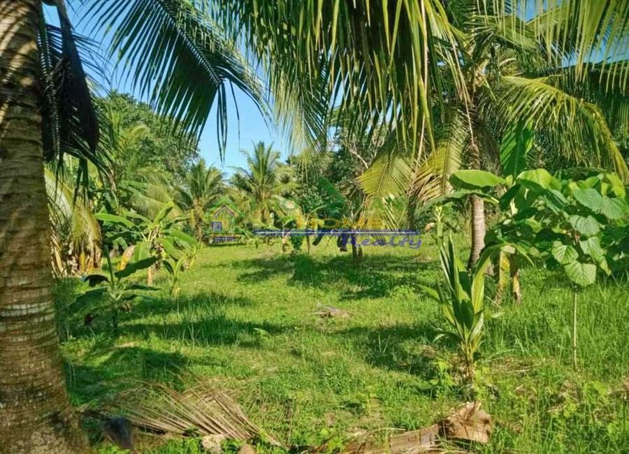 Tuhian, Catanauan, Quezon image 2