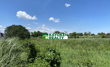 5.9 Hectares for Sale - Taguig City